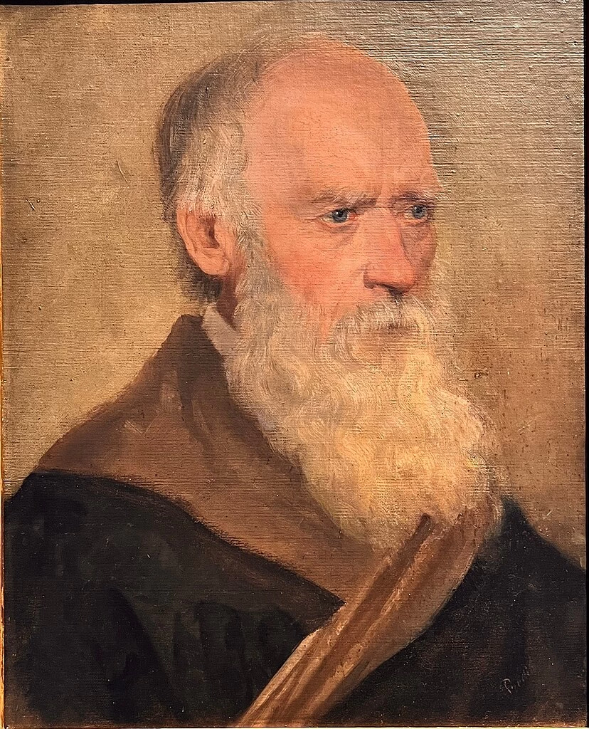 Studio di un vecchio con la barba - Galleria Matica srpska, 1879, 1880